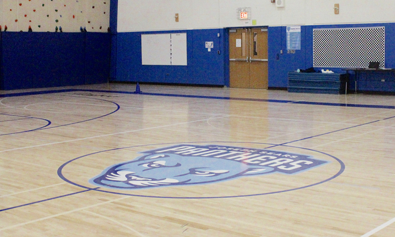 school mascot on gym floor