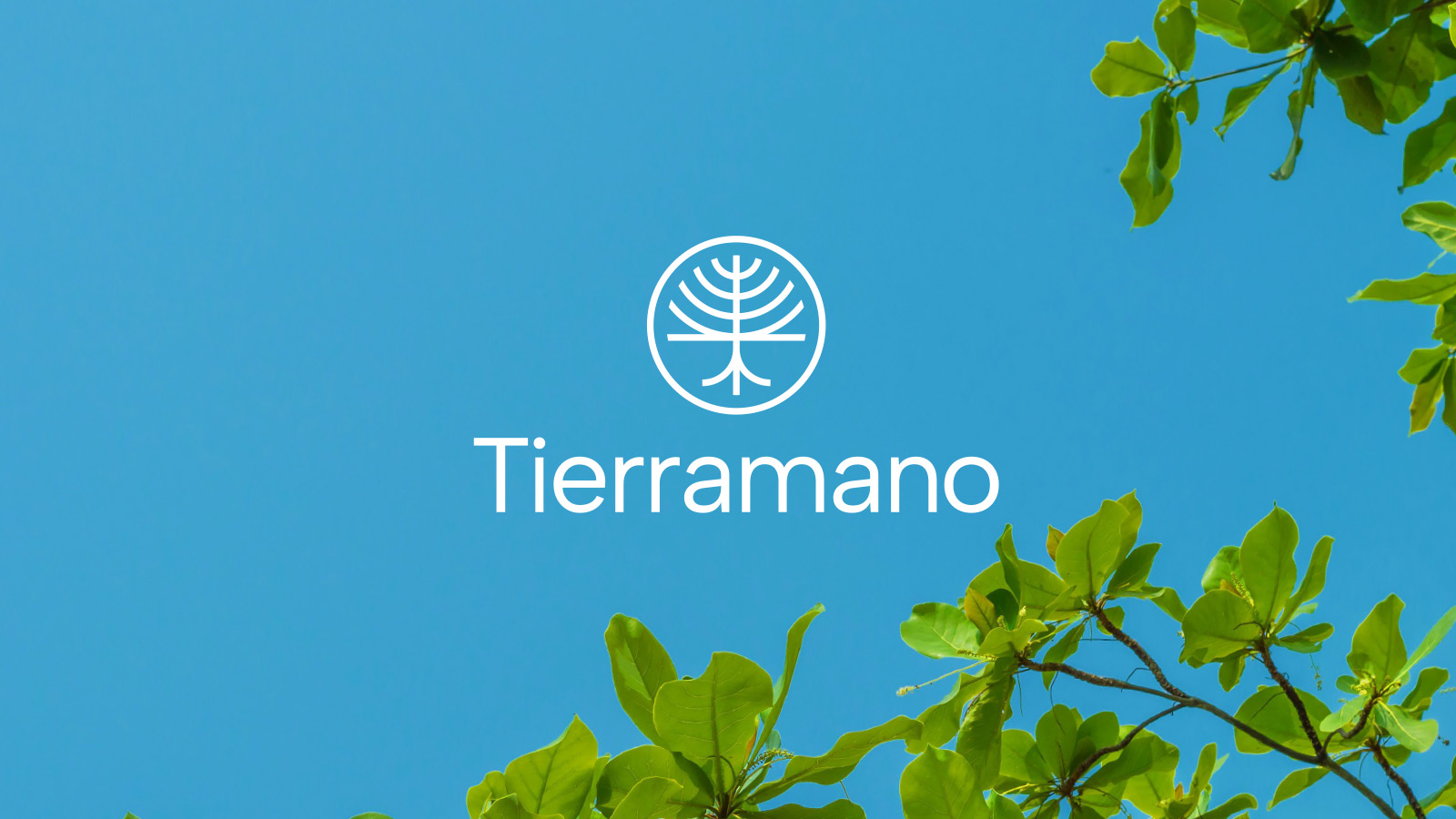 a commercial real estate brand's logo