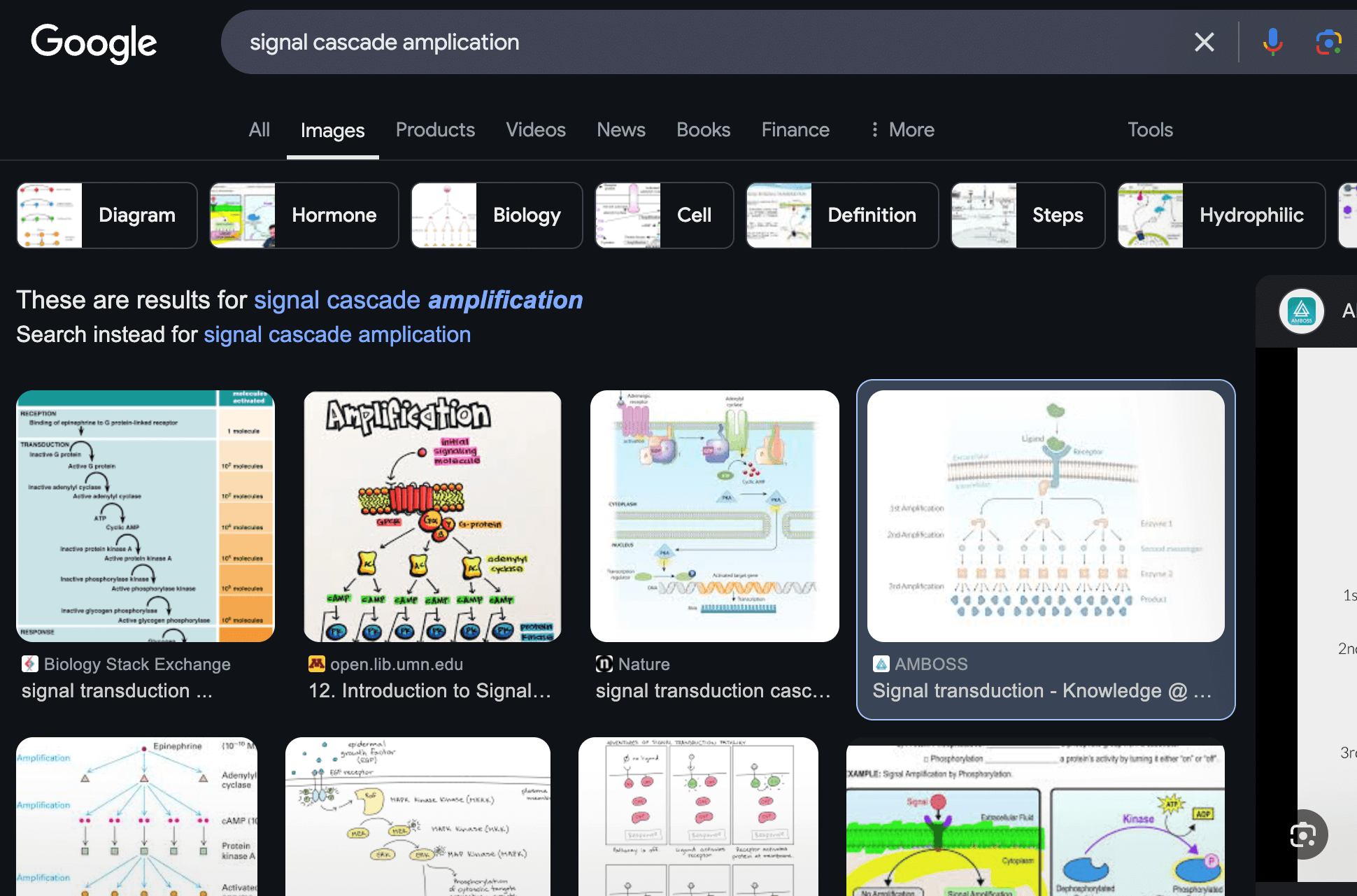 signal cascade diagrams